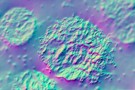 microscope photo of a cell